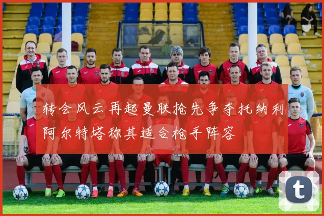 转会风云再起曼联抢先争夺托纳利阿尔特塔称其适合枪手阵容